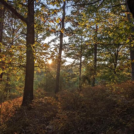 Loblolly Pines Adventure Aframe #1 Villa Eureka Springs Bagian luar foto