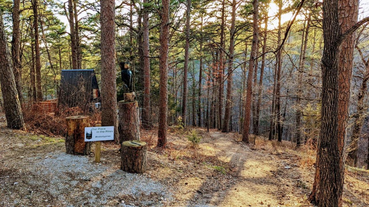Loblolly Pines Adventure Aframe #1 Villa Eureka Springs Bagian luar foto